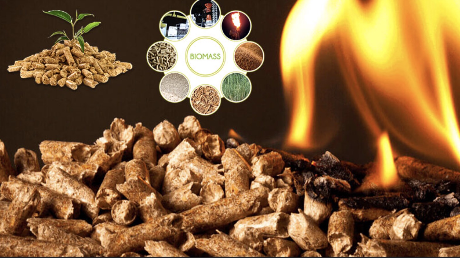 Wood Pellets